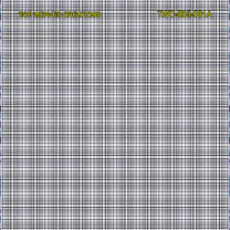 Top Dyed Checks With Plain Weave (Wg)