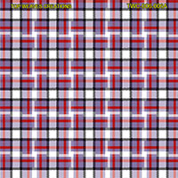 Shirting Design  Twc-006-006a   12 Shafts