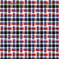 Shirting Design  Twc-006-013a  12 Shafts