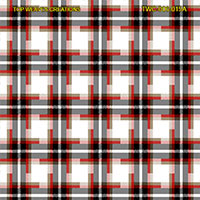 Shirting Design Twc-006-015a  12 Shafts