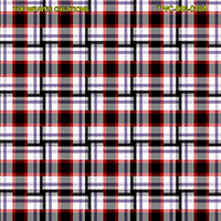 Shirting Design  Twc-006-018a  12 Shafts 