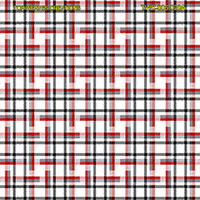 Shirting Design  Twc-006-020a  12 Shafts
