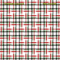 Shirting Design  Twc-006-023a  12 Shafts