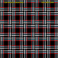 Shirting Design  Twc-006-034a  12 Shafts