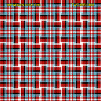 Shirting Design  Twc-006-040a  12 Shafts