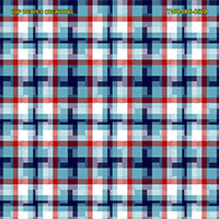 Shirting Design  Twc-006-052a  12 Shafts