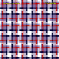 Shirting Design  Twc-006-054a  12 Shafts