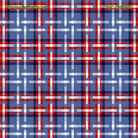Shirting Design  Twc-006-055a  12 Shafts