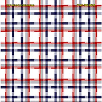 Shirting Design  Twc-006-068a  12 Shafts