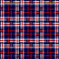 Shirting Design  Twc-006-079a  12 Shafts