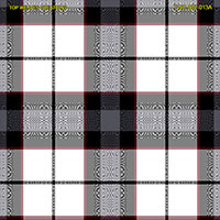 Shirting Design  Twc-007-013a   12 Shafts
