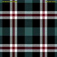 Shirting Design  Twc-007-022a   12 Shafts