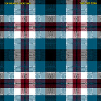 Shirting Design  Twc-007-024a  8 Shafts