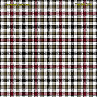 Shirting Design  Twc-007-027a   8 Shafts