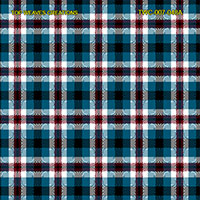 Shirting Design  Twc-007-048a  12 Shafts