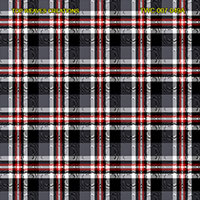 Shirting Design  Twc-007-049a  12 Shafts