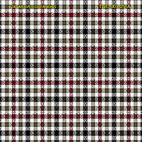 Shirting Design  Twc-007-051a   12 Shafts