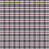 Shirting Design  Twc-007-055a   12 Shafts