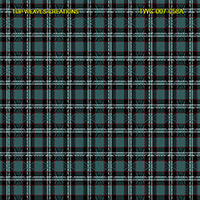 Shirting Design  Twc-007-058a  12 Shafts
