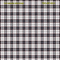 Shirting Design  Twc-007-061a  12 Shafts 