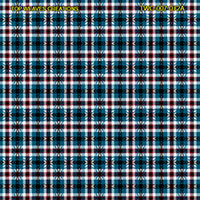 Shirting Design  Twc-007-072a  12 Shafts