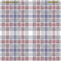 Shirting Design  Twc-007-073a   8 Shafts