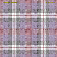 Shirting Design  Twc-007-077a   8 Shafts