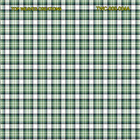 Shirting Design Twc-009-004a  6 Shafts