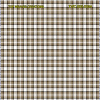 Shirting Design Twc-009-009a  6 Shafts