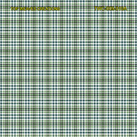 Shirting Design Twc-009-010a  6 Shafts
