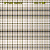Shirting Design Twc-009-015a  6 Shafts