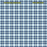 Shirting Design Twc-009-018a 6 Shafts