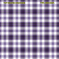 Shirting Design  Twc-009-029a  6 Shafts