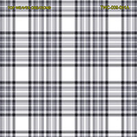 Shirting Design Twc-009-061a  6 Shafts