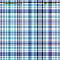 Shirting Design Twc-009-072a  6 Shafts