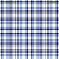 Shirting Design Twc-009-080a 6 Shafts