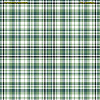 Shirting Design  Twc-009-082a  6 Shafts