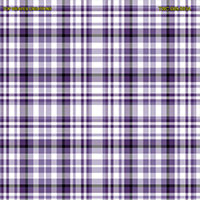 Shirting Design Twc-009-083a  6 Shafts