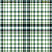 Shirting Design Twc-009-088a  6 Shafts
