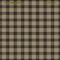 Shirting Design Twc-010-027a  6 Shafts
