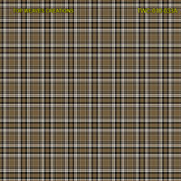 Shirting Design Twc-010-033a  6 Shafts