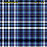 Shirting Design  Twc-010-042a  6 Shafts