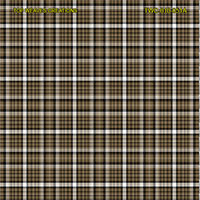 Shirting Design  Twc-010-051a  6 Shafts