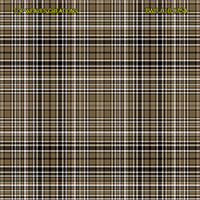 Shirting Design  Twc-010-075a  6 Shafts