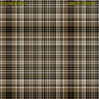 Shirting Design  Twc-010-087a  6 Shafts